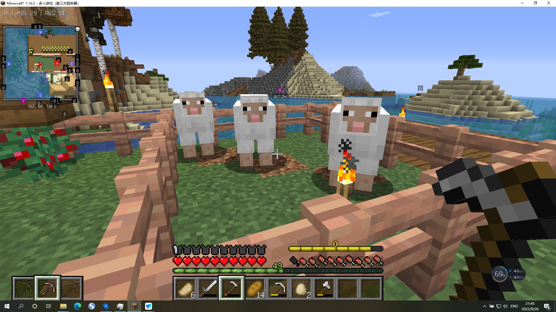 饥荒 年度版 截图2