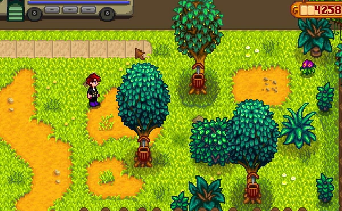 星露谷物语 完整版 截图2